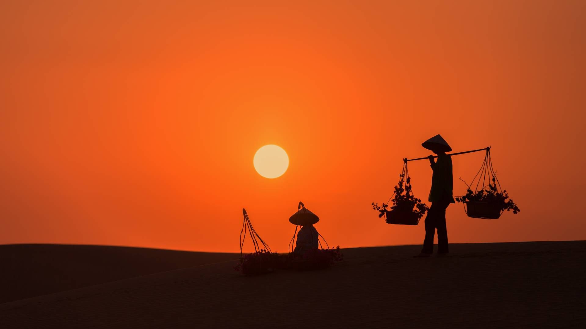 Best time to visit Vietnam