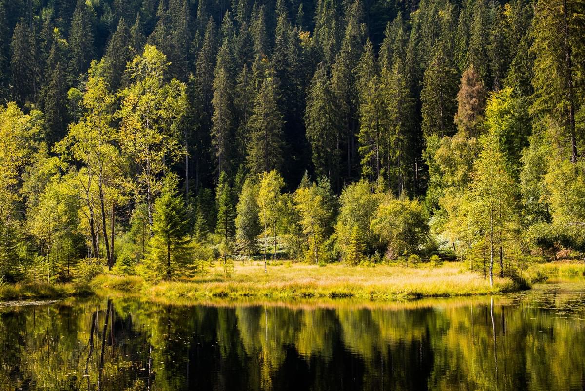 Germany Black Forest