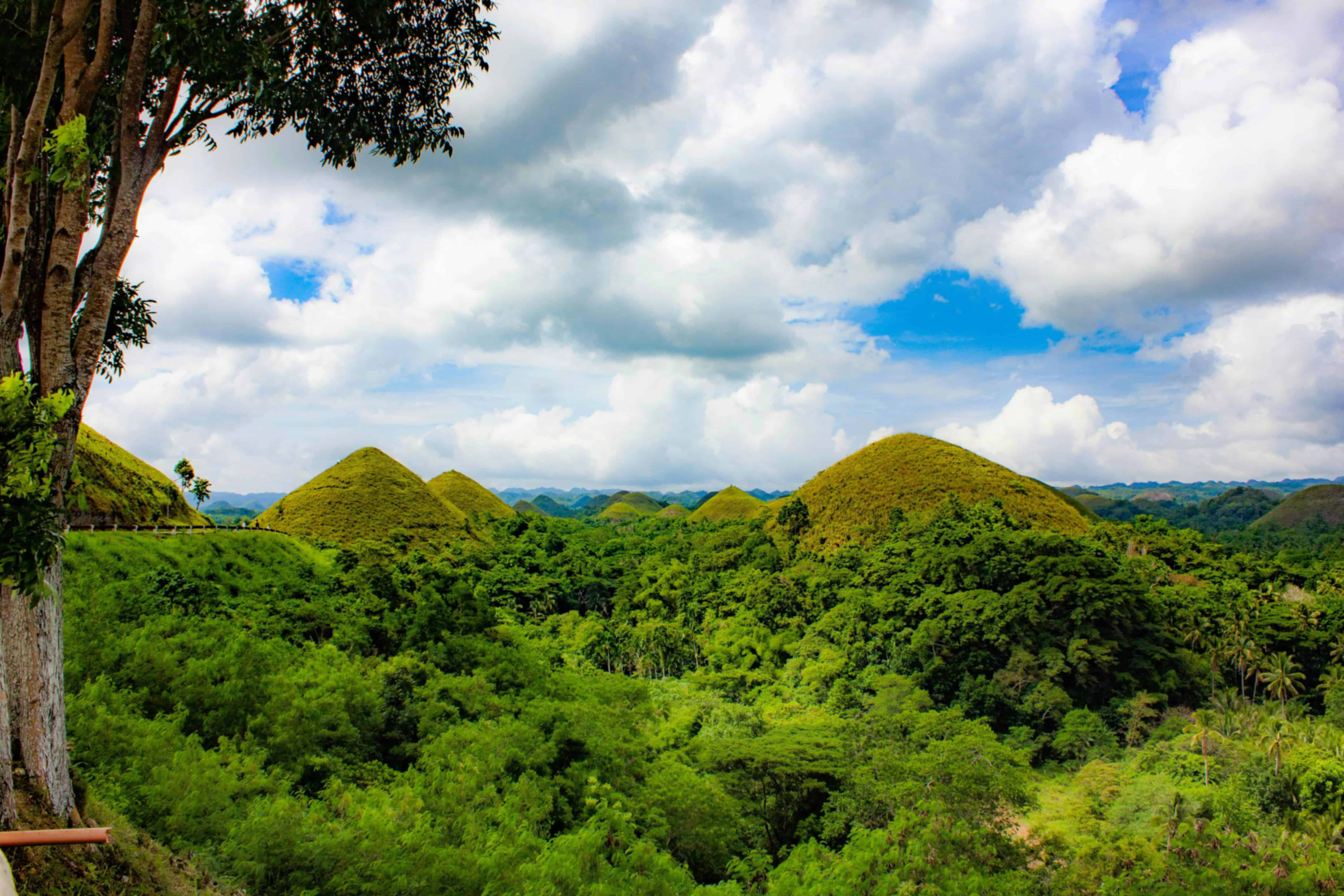 Bohol Travel Guide and Tourism