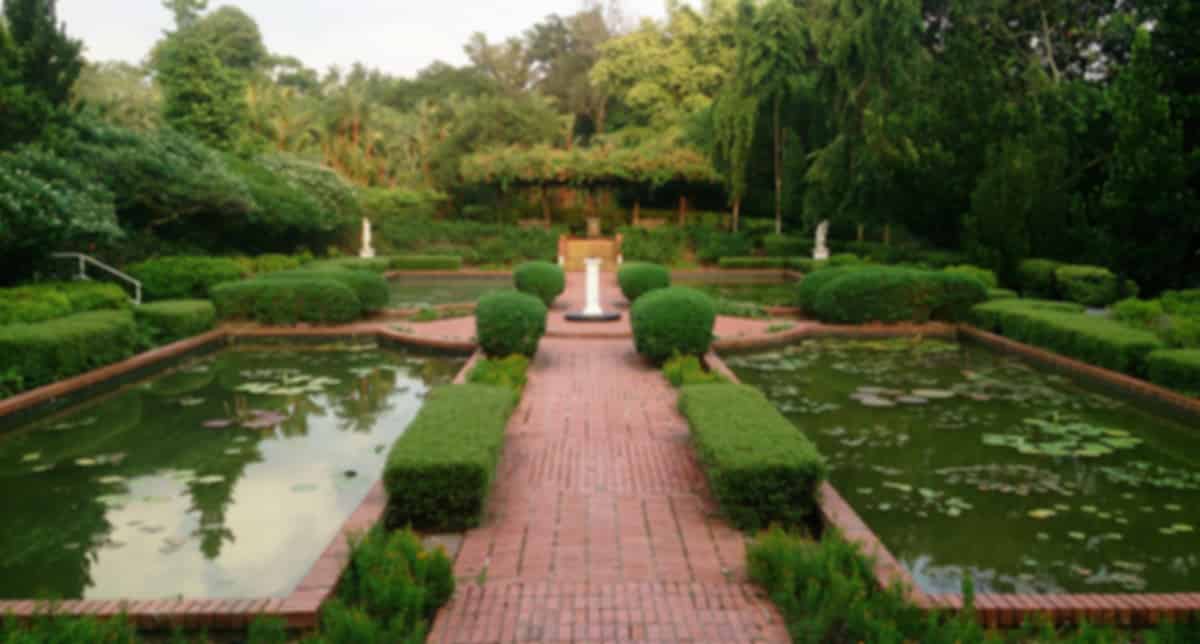 Spring In Singapore: Weather Guide & Travel Tips