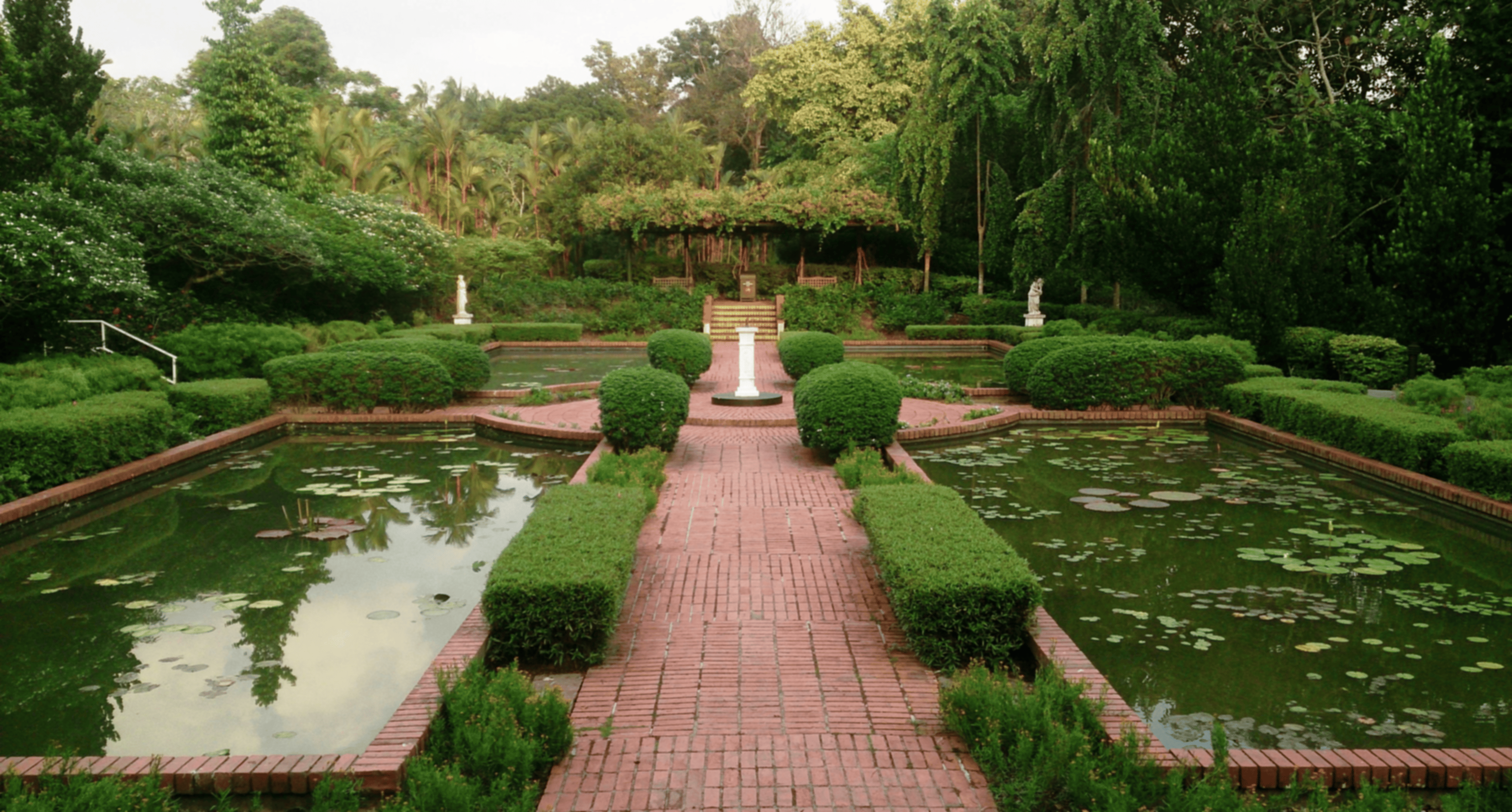 Singapore Botanic Gardens 2026 Visitor Guide (Tickets, Timings, Map & Best Things to Do)