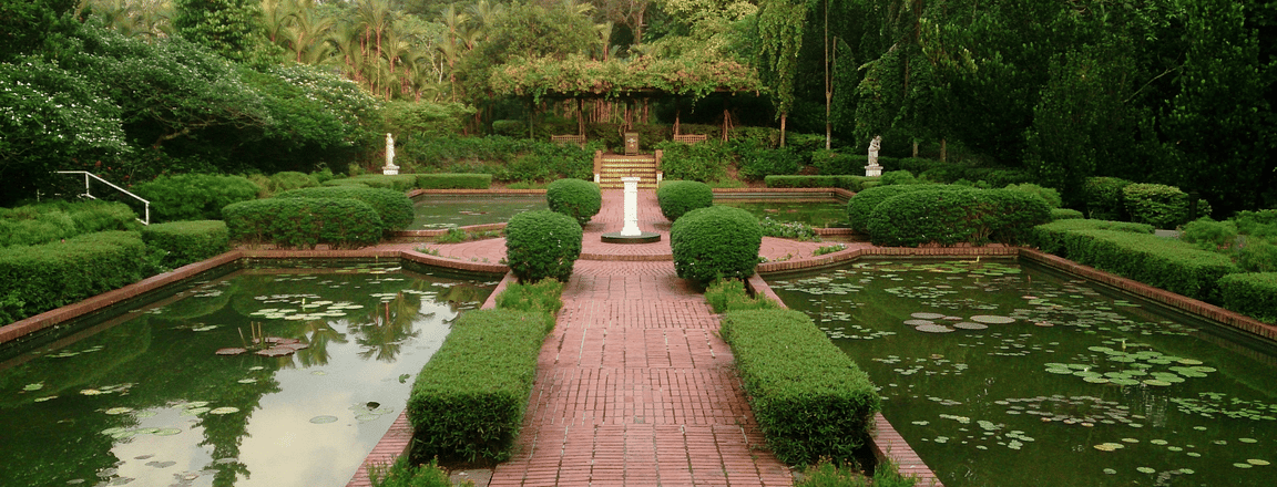 botanical garden.jpg