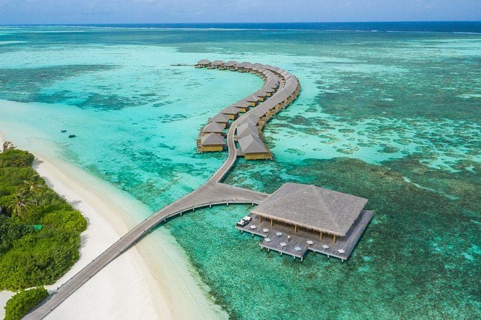cocoon_maldives_88d1b79da5.jpg