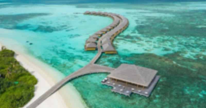 cocoon_maldives_88d1b79da5.jpg