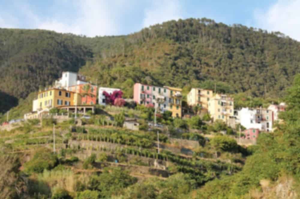 Corniglia Travel Guide and Tourism
