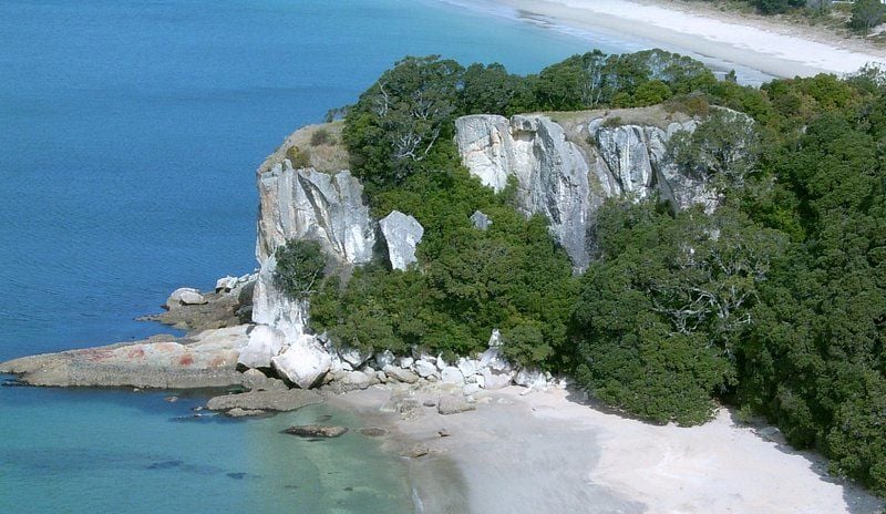coromandel_1_0160b20cf6.jpg