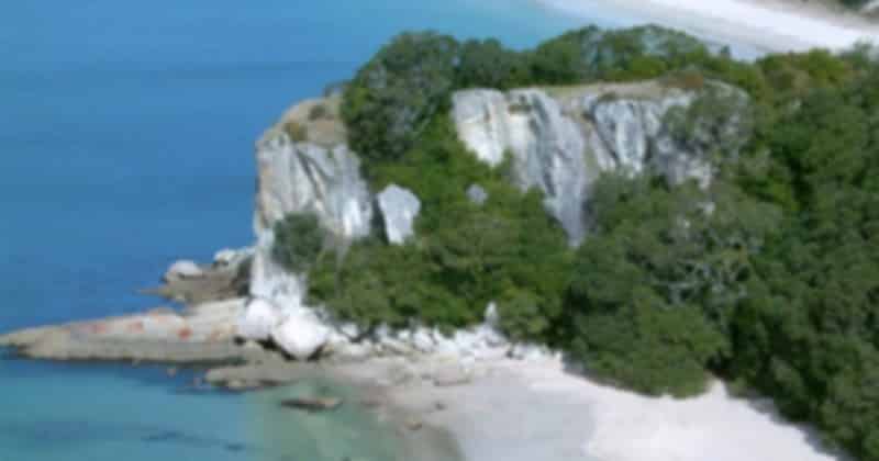 coromandel_1_0160b20cf6.jpg