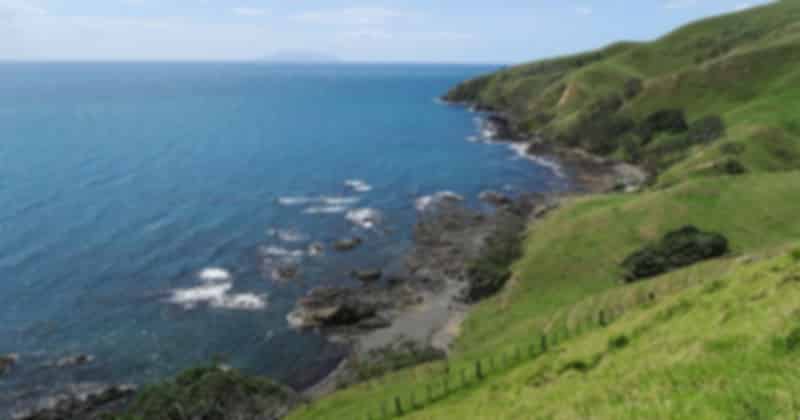 coromandel_4_1cd2cfedf5.jpg