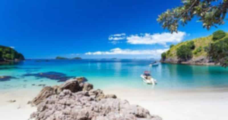 coromandel_7_770a87432a.jpg