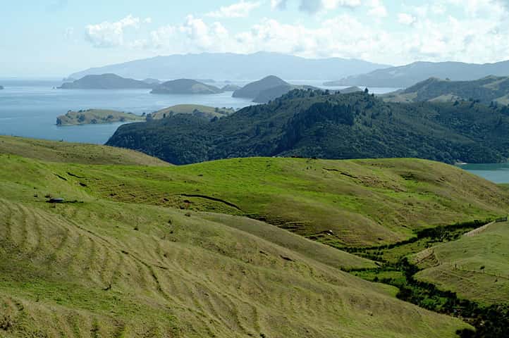 Coromandel Travel Guide and Tourism