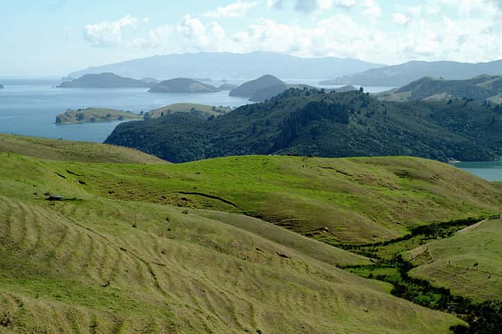 Coromandel Travel Guide and Tourism