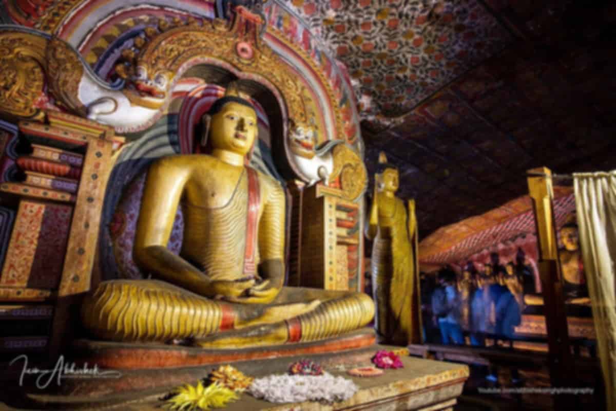Dambulla Cave Temple Guide: Entrance Fee, Timings & Ticket Price 2026