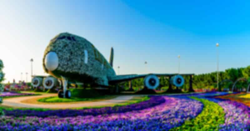 dubai_miracle_garden_8968da7ebe.jpeg