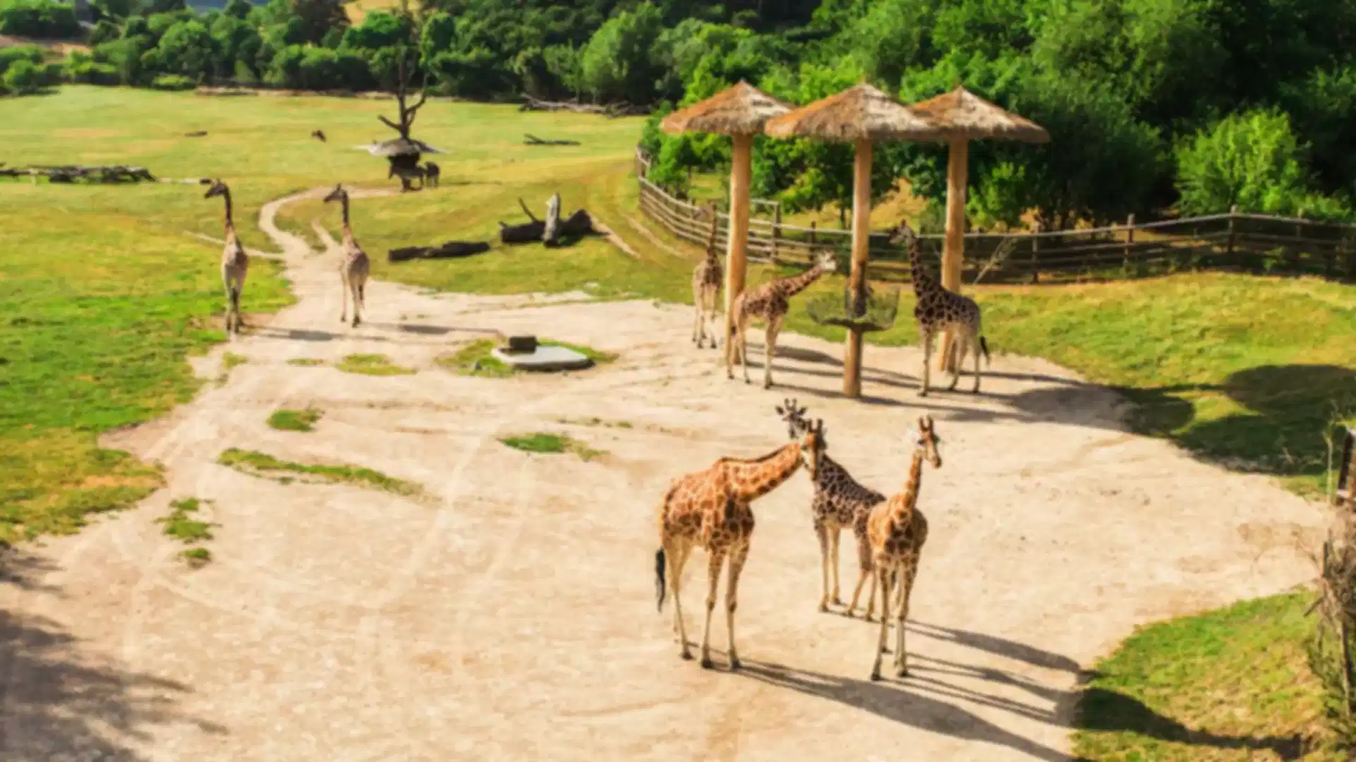 Top National Parks in Dubai – Discovering Natural Wonders