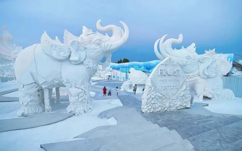 frost ice magical siam