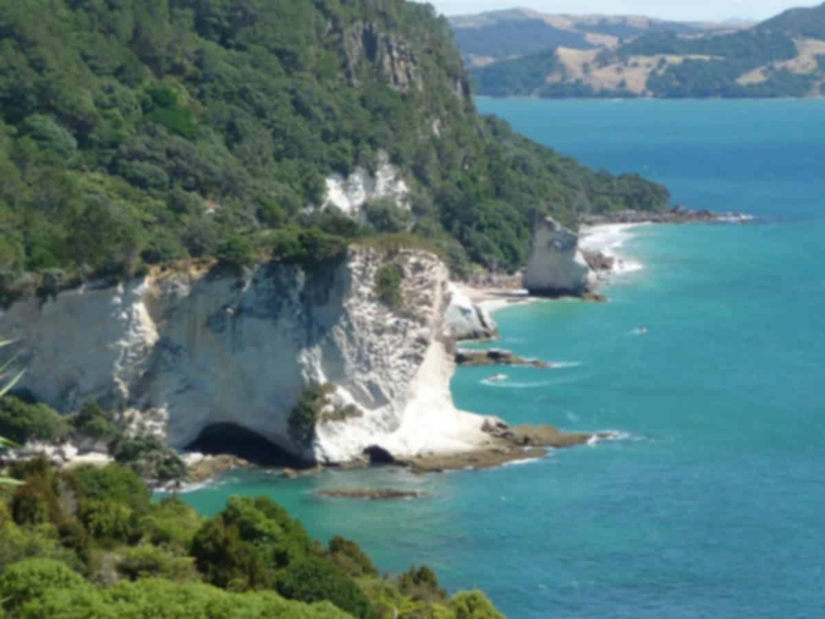 Hahei Travel Guide and Tourism