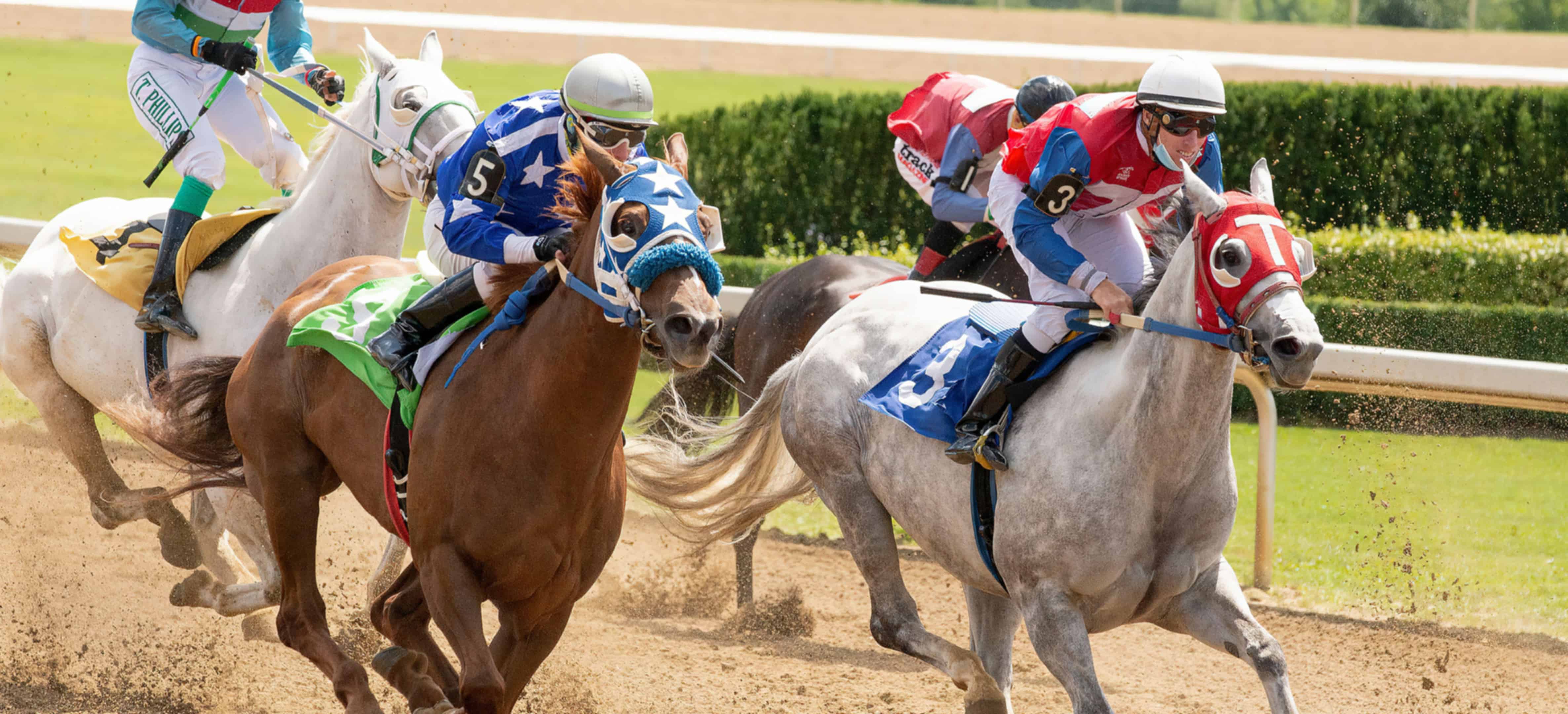 Jebel Ali Racecourse Dubai: Horse Racing, Events & Visitor Experience