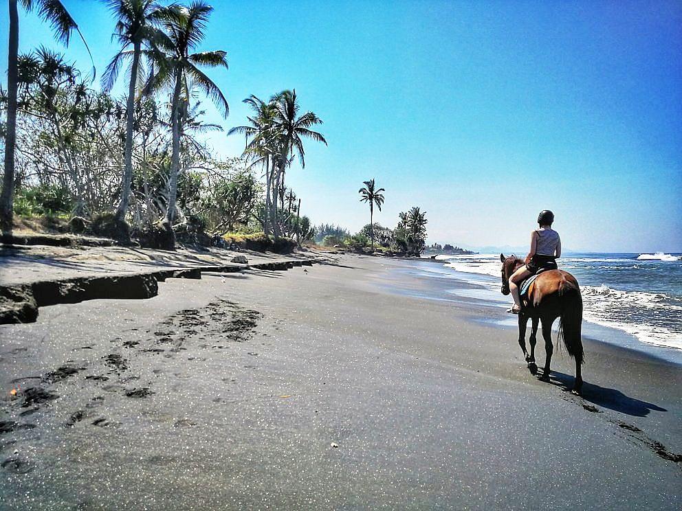 horse ride at Gianyar.jpeg