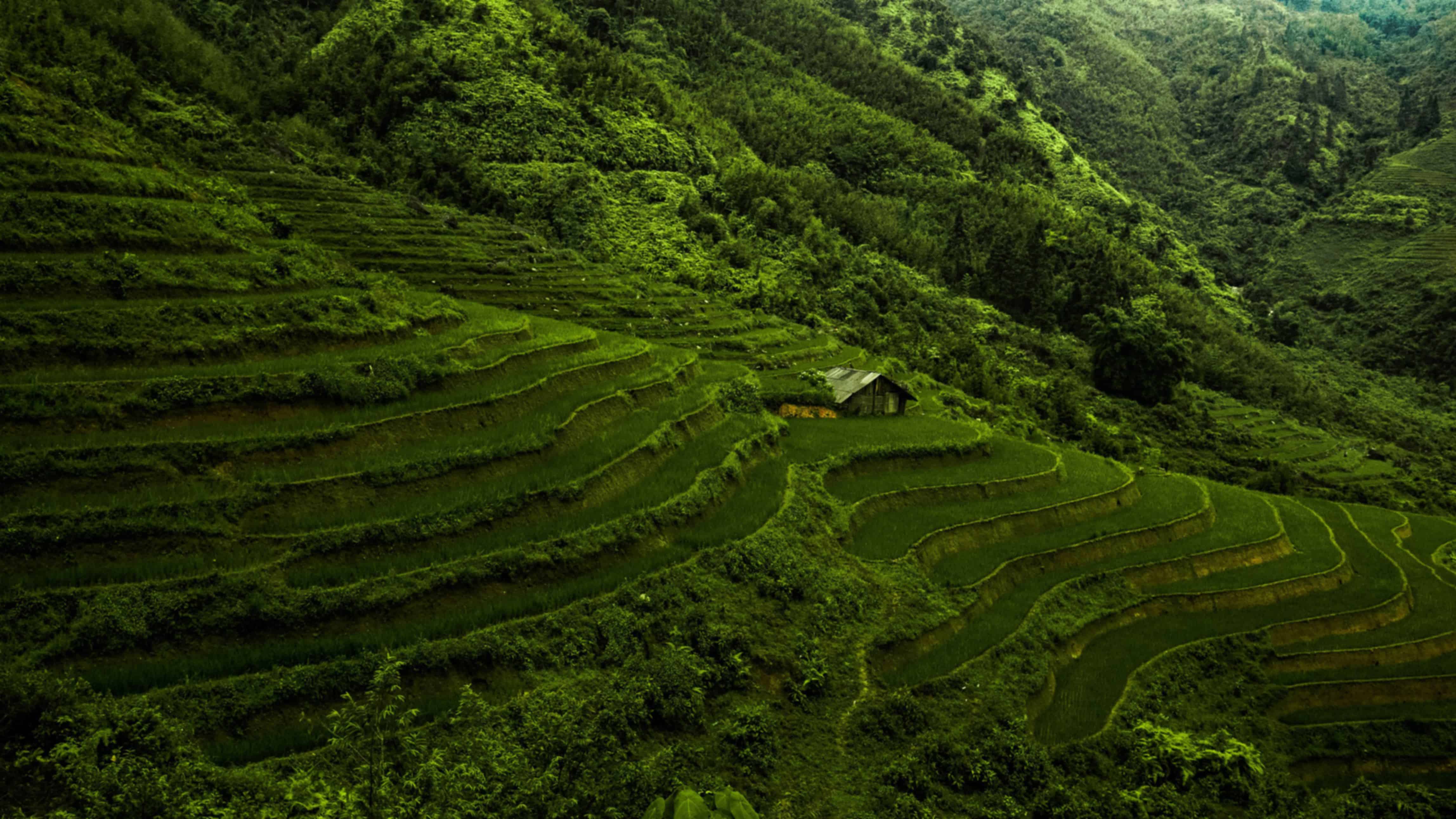 How To Reach Vietnam From Coimbatore - A Travel Guide For You