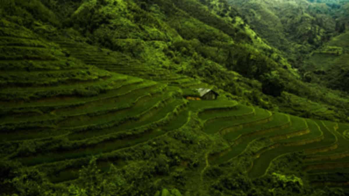 How To Reach Vietnam From Coimbatore - A Travel Guide For You