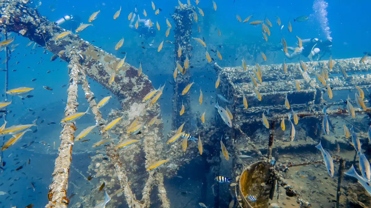 htms chang wreck