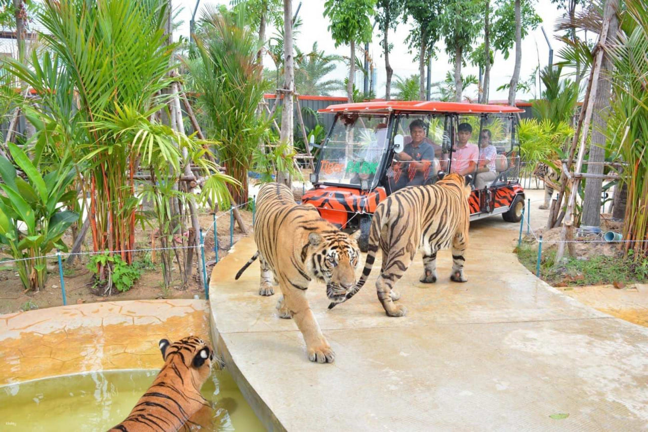 Pattaya-Tiger Park Smallest Tiger (Entry with Private Transfer) (Available for all ages.) - Enroute