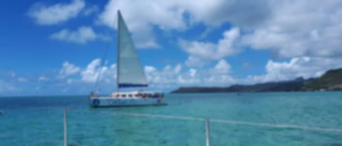 Discover Mauritius: North & South Island Tours + Ile aux Cerfs Experience with Catamaran Cruise Included (Shared)