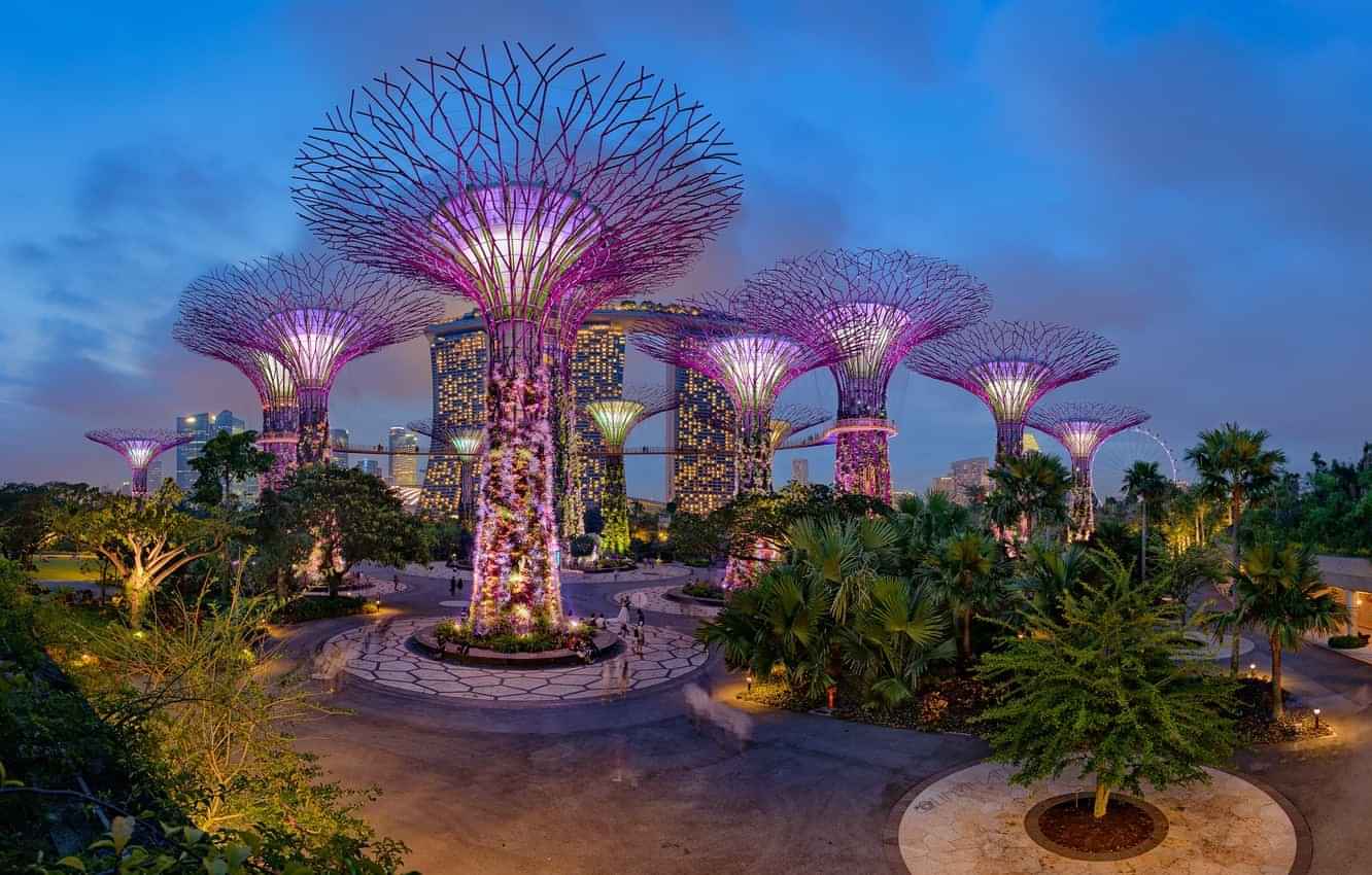 Gardens by the bay (Flower Dome and Cloud forest) on shared basis 