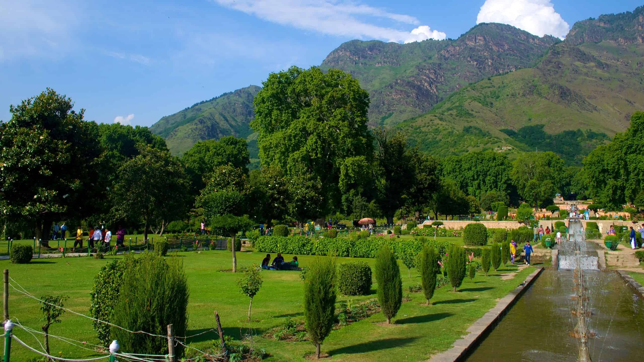 Srinagar Mughal Gardens and Heritage Experience