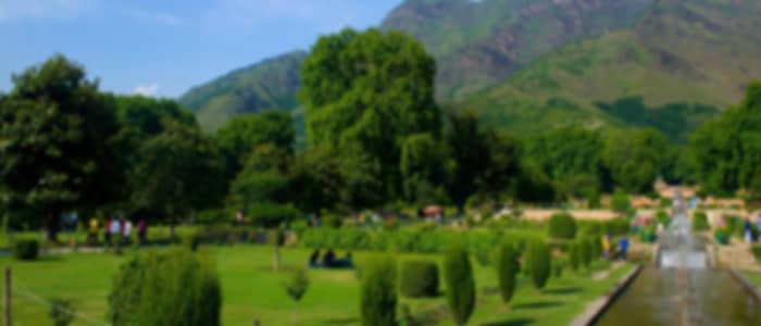Srinagar Mughal Gardens and Heritage Experience