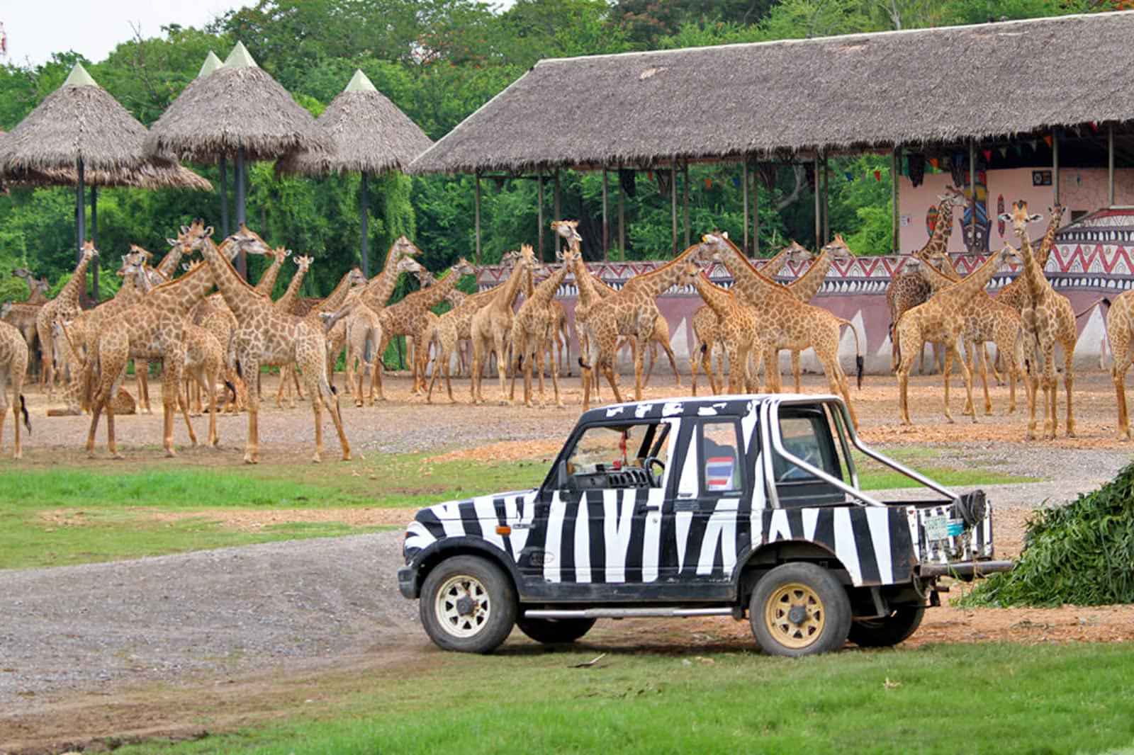 Safari world with marine park incl lunch shared transfer