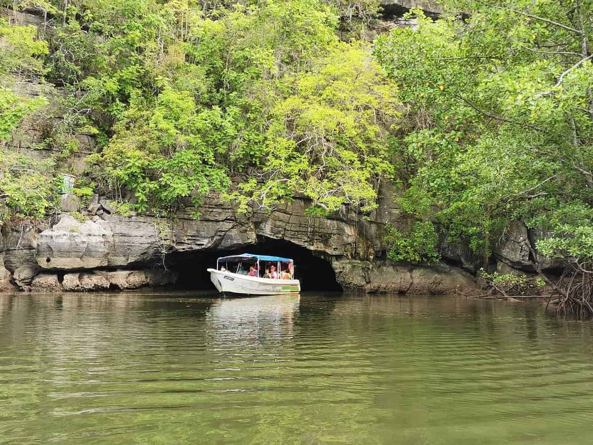 Half day Mangrove and eagle feeding by Boat in afternoon session (No lunch) with Private Transfers