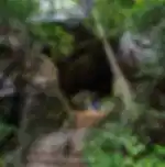 Ella Adventure Tour Ravana Caves, Ravana Falls, Ravana Pool Club and Flying Ravana