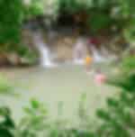 Krabi-Jungle Tour Emerald Pool, Hot Spring Waterfall & Tiger Cave With Lunch With Shared Transfers including National Park Fee