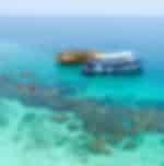 Nha Trang - Hon Mun Snorkelling -Tranh Beach Private