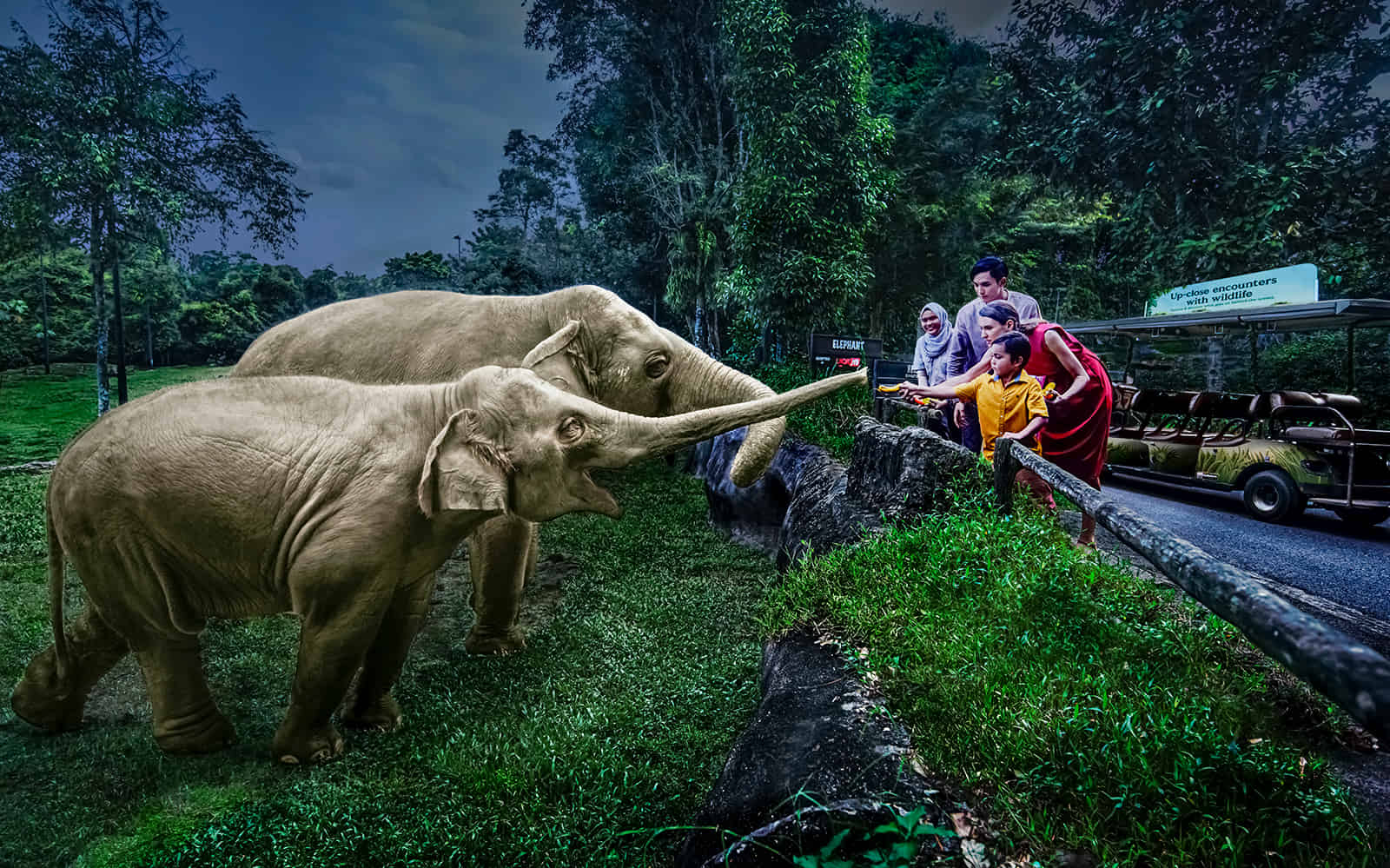 Visit Singapore's Night Safari on Private Transfers
