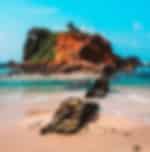 Mirissa Coastal Day Tour - Parrot Rock, Coconut Tree Hill and Beaches