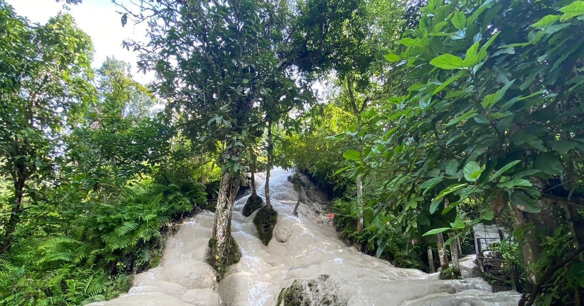 Chiang Mai-Half Day Longneck Village Baan Tong Luang (Min 2 Pax) (Shared Transfer)