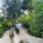 Chiang Mai-Half Day Longneck Village Baan Tong Luang (Min 2 Pax) (Shared Transfer)