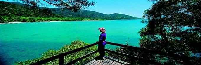 Daintree Rainforest, Cape Tribulation and Rainforest Habitat Wildlife Sanctuary Day Tour