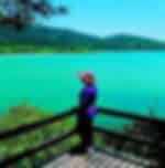 Daintree Rainforest, Cape Tribulation and Rainforest Habitat Wildlife Sanctuary Day Tour