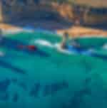 12 Apostles and Shipwreck Coast Express Private Tour
