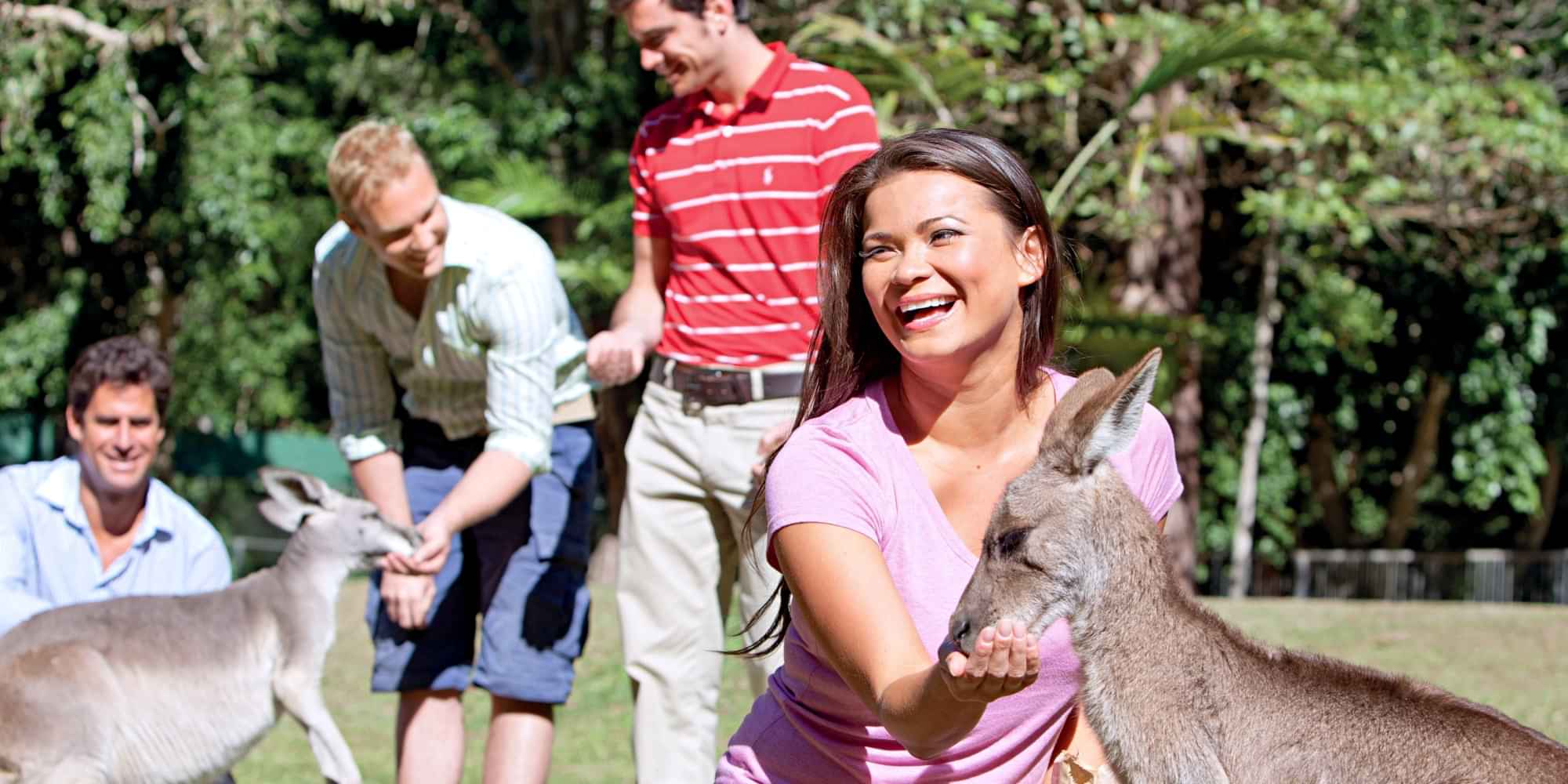 From Brisbane: Australia Zoo Transfer and Entry Ticket