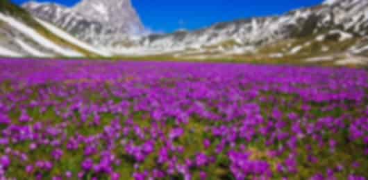 Srinagar 6 Nights 7 Days Family Itinerary