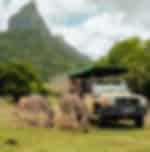 Casela Entry - African Safari with Private Transfer