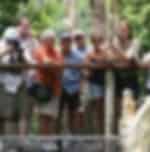 Hartley's Crocodile Adventure Half-Day Tour