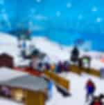 Ski Dubai (Snow Premium Pass) with Private Transfers