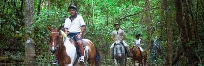 Cairns Horse Riding and ATV quad bike riding tour from Cairns through rainforest and sugarcane fields