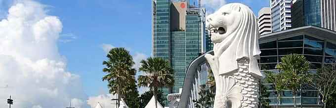 Singapore city tour of the best places like  Merlion Park, Chinatown and other places