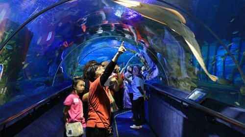 Admissions to Aquaria KLCC